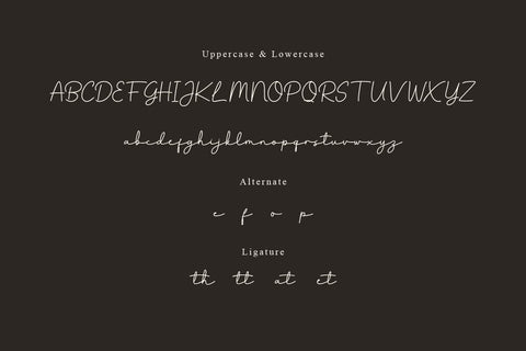 Lesarta - Script Monoline Font Font twinletter 