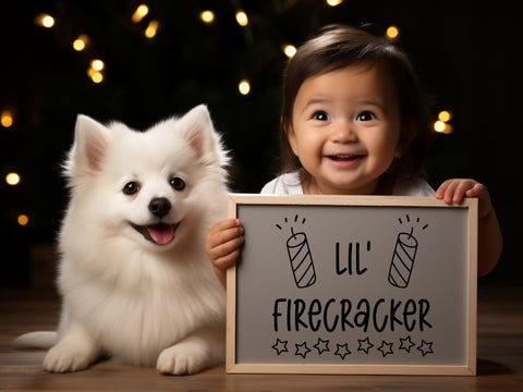 Lil Firecracker SVG | Fourth of July PNG SVG Paige Cole Studio 