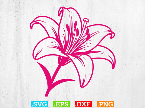 Lily Svg Bundle, Lily Flower svg, Lily Cut File svg SVG Creativeart88 