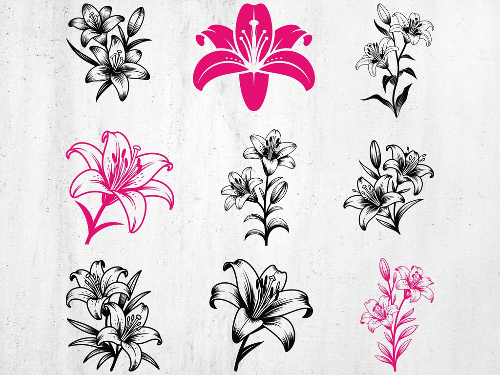 Lily Svg Bundle, Lily Flower svg, Lily Cut File svg - So Fontsy