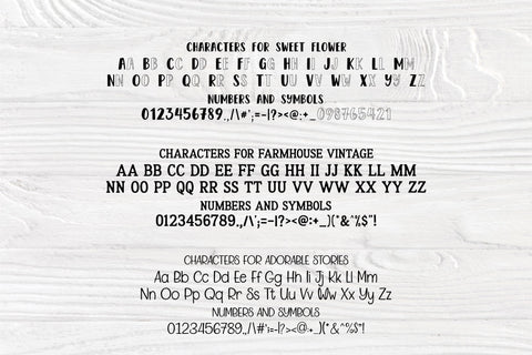 Little Racoon Monogram SVG File | Racoon Vector Outline SVG TonisArtStudio 