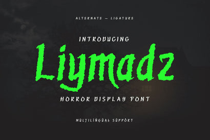 Liymadz - Horror Display Font Font twinletter 