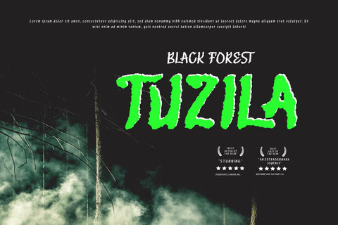 Liymadz - Horror Display Font Font twinletter 