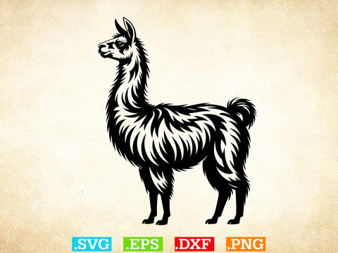 Llama Svg Bundle, Floral Animal Svg, Llama Clipart, Cute Llama Shirt SVG Creativeart88 
