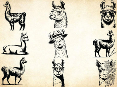 Llama Svg Bundle, Floral Animal Svg, Llama Clipart, Cute Llama Shirt SVG Creativeart88 