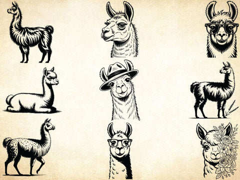 Llama Svg Bundle, Floral Animal Svg, Llama Clipart, Cute Llama Shirt SVG Creativeart88 