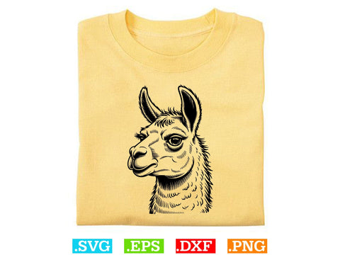Llama Svg Bundle, Floral Animal Svg, Llama Clipart, Cute Llama Shirt SVG Creativeart88 