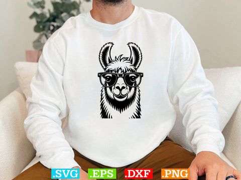 Llama Svg Bundle, Floral Animal Svg, Llama Clipart, Cute Llama Shirt SVG Creativeart88 