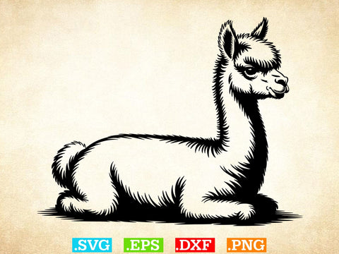 Llama Svg Bundle, Floral Animal Svg, Llama Clipart, Cute Llama Shirt SVG Creativeart88 