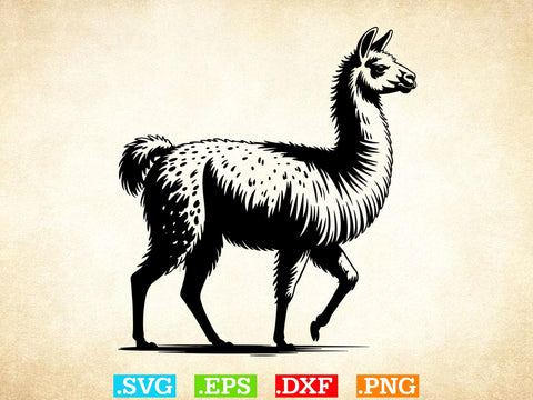 Llama Svg Bundle, Floral Animal Svg, Llama Clipart, Cute Llama Shirt SVG Creativeart88 