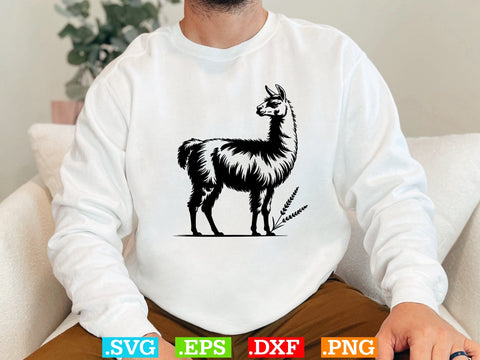 Llama Svg Bundle, Floral Animal Svg, Llama Clipart, Cute Llama Shirt SVG Creativeart88 