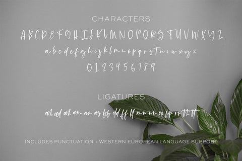Lofthouse Script Font Beck McCormick 