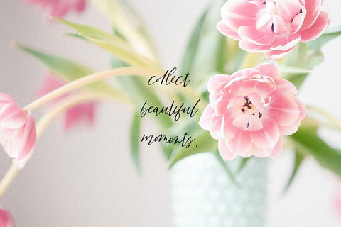 Lone Memory Script Font Beck McCormick 