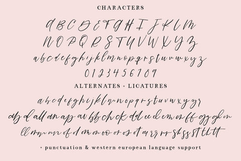 Lone Memory Script Font Beck McCormick 