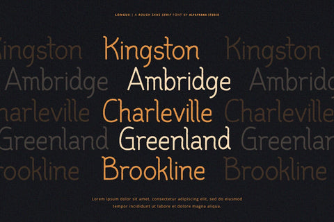 Longue - Rough Font Font Alpaprana Studio 