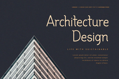 Longue - Rough Font Font Alpaprana Studio 