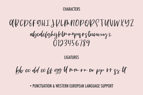 Looking Glass Script Font Beck McCormick 