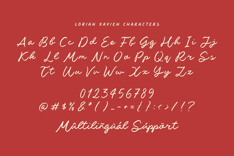 Lorian Xavien - Handbrushed Script Font Font Timur type 