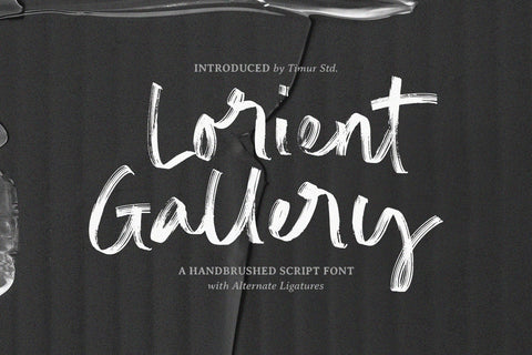 Lorient Gallery - Handbrushed Script Font Font Timur type 