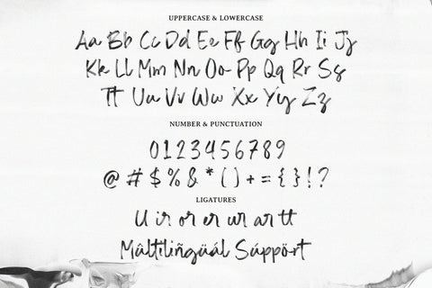 Lorient Gallery - Handbrushed Script Font Font Timur type 