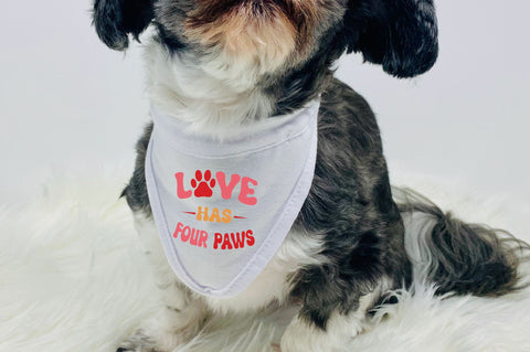 love has four paws svg Design SVG Regulrcrative 