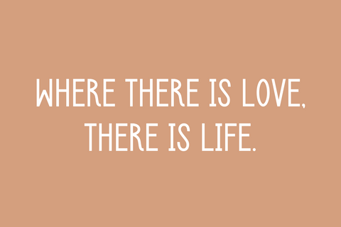 Love Story Font Cotton White Studio 