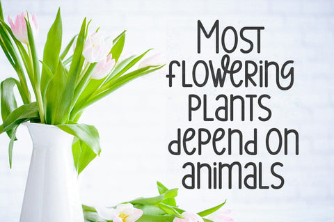 Lovely Spring Font Suza Studio 