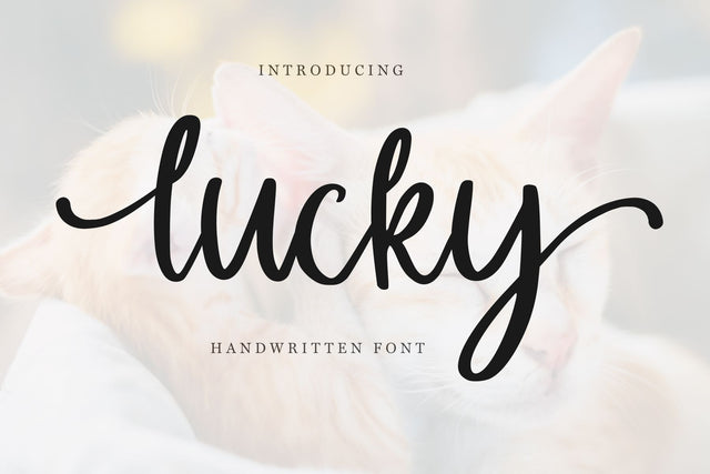 Lucky SVG Chamsae Studio 