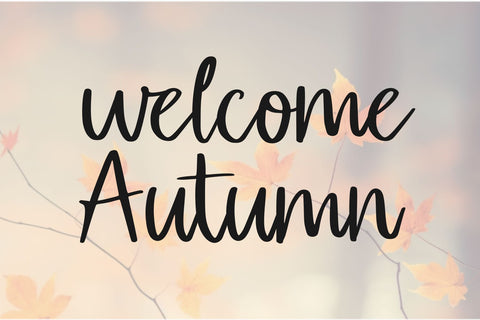 Lucky SVG Chamsae Studio 