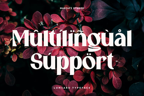 Lumiare – Modern Serif Display Font Font Masyafi Studio 
