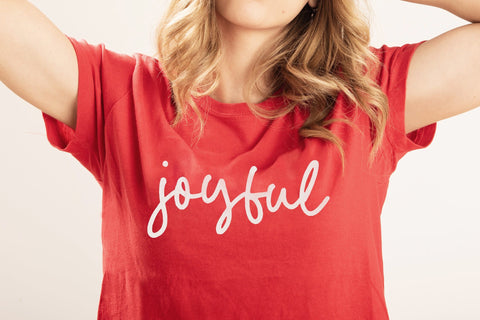 Luminous Polish - Handwritten Script Font Font Timur type 