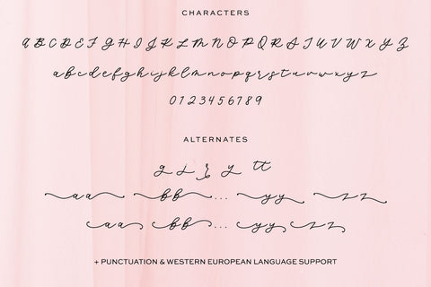 Lunabelle Script Font Font Beck McCormick 