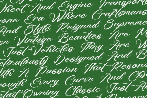 Machine Vintage - Modern Stylish Script Font Letterena Studios 