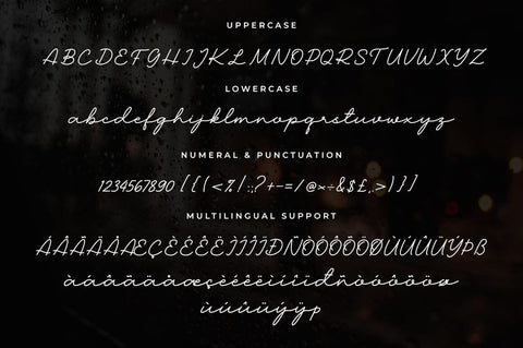 Madore Modern Script Font Font Heinzel Studio 