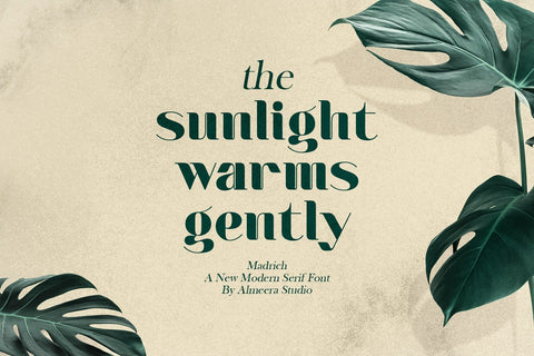Madrich - Modern Serif Font Font studioalmeera 