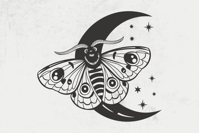 Magic Artwork with Moon and Moth Svg file, Celestial Svg, Magic Svg, Stars Svg, Moth Insect Svg, Moth Svg, Moon Svg, Spiritual svg Stars Svg SVG DesignDestine 