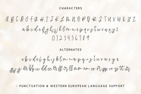 Magic Maker Script Font Beck McCormick 