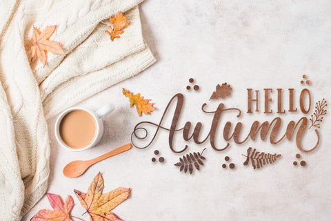 Magic Winter - Modern Calligraphy Font studioalmeera 