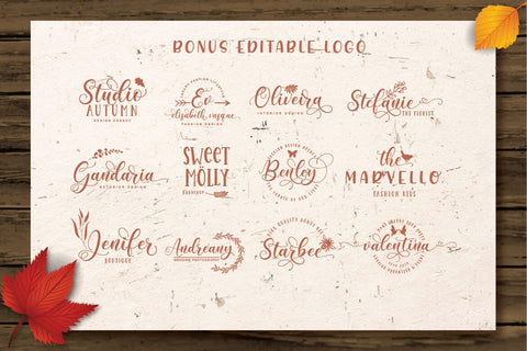 Magic Winter - Modern Calligraphy Font studioalmeera 