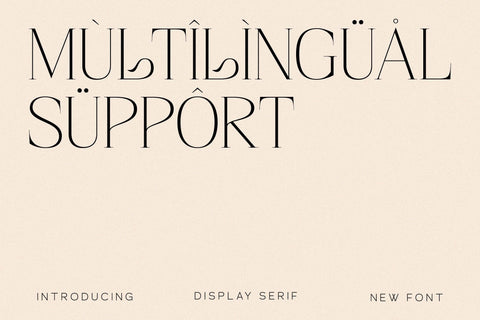 Magisse Typeface Font Storytype Studio 