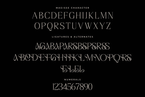 Magisse Typeface Font Storytype Studio 