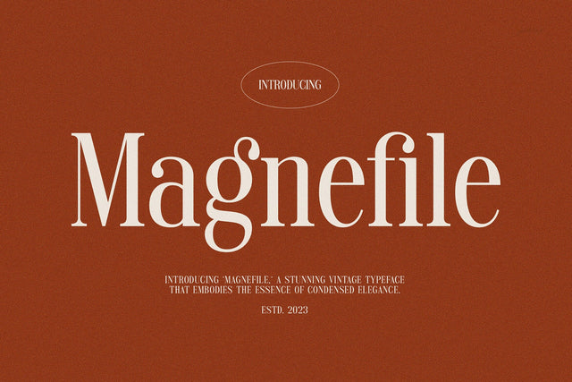 Magnefile - Classy & Stylish Serif Font studioalmeera 