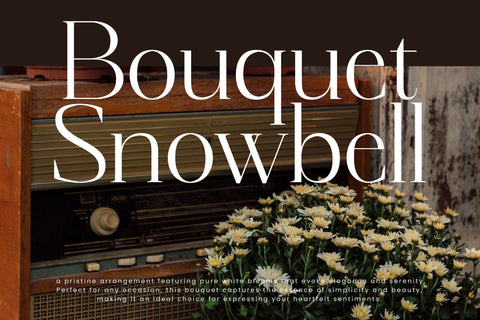 Magnetic Azuhster - Minimalist Serif Font Font Letterena Studios 