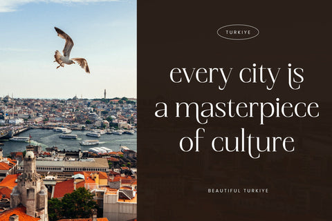 Magnetic Azuhster - Minimalist Serif Font Font Letterena Studios 