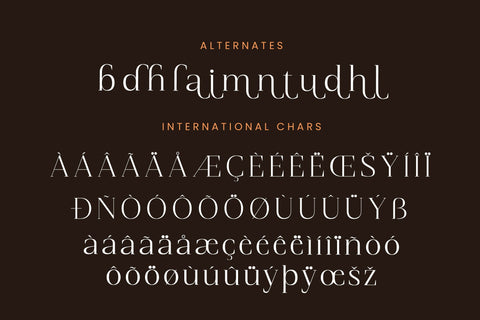 Magnetic Azuhster - Minimalist Serif Font Font Letterena Studios 