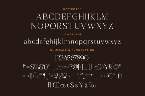 Magnetic Azuhster - Minimalist Serif Font Font Letterena Studios 