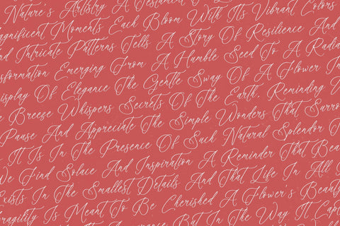 Magnolia Florale - Modern Calligraphy Font Letterena Studios 