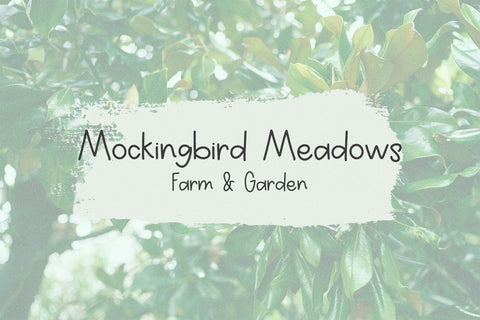 Magnolia & Pines Sans Font Beck McCormick 