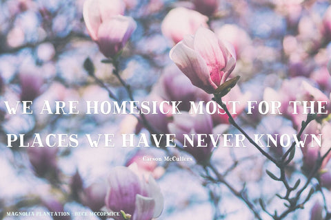 Magnolia Tree Rustic Serif Font Duo Font Beck McCormick 