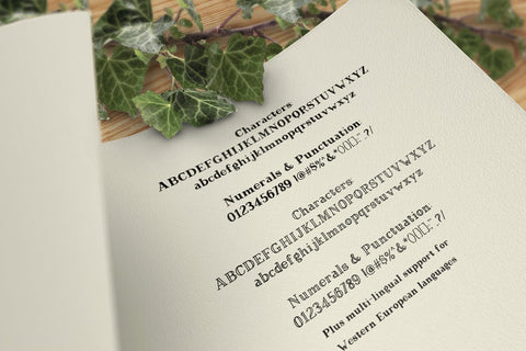 Magnolia Tree Rustic Serif Font Duo Font Beck McCormick 